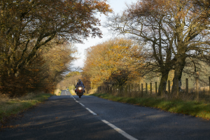 Website Go Live Date