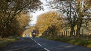 Website Go Live Date